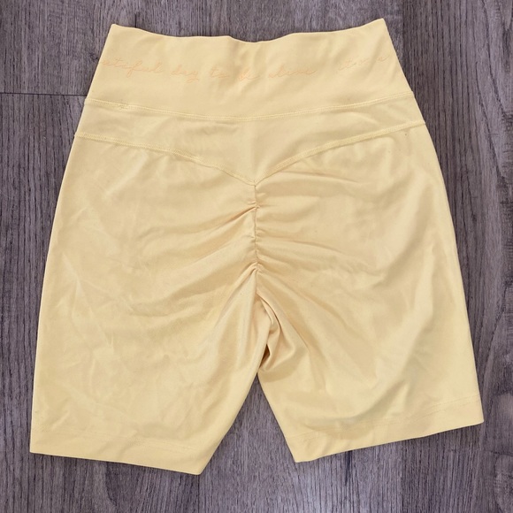 -SOLD- GS X Whitney Simmons Mesh Shorts - Pollen (S) - Picture 3 of 6